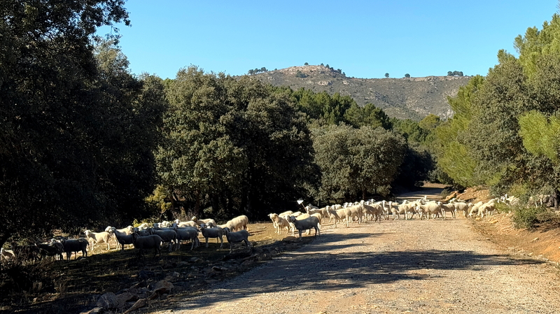 In Andalusia, the route goes through the Sierra de Huetor (southern Spain), a great off-road route along the Sierra Nevada.