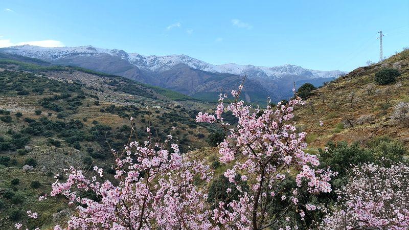A long off-road track through the northern Sierra Nevada