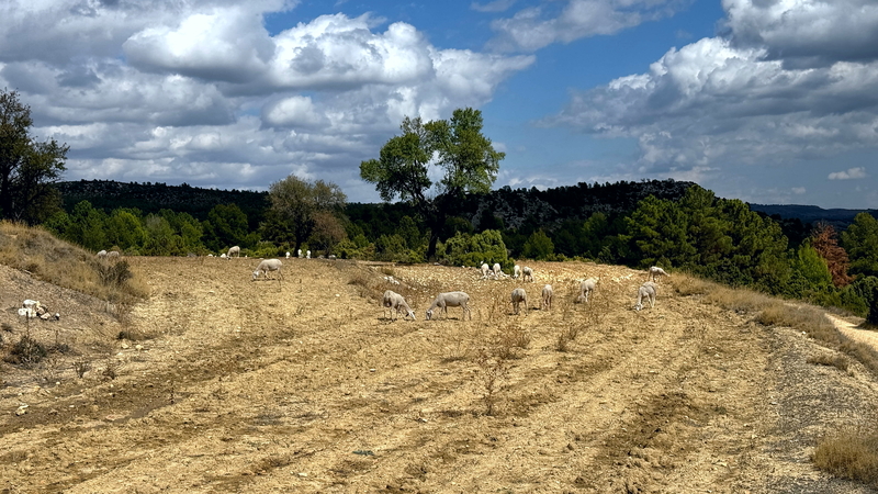 Off-road tracks through Confines de la Sierra in Andalusia with a 4x4 in Spain Off-road tracks through Confines de la Sierra in Andalusia with a 4x4 in Spain