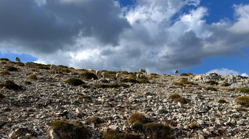 A scenic route in northern Andalusia runs through a national park; it is also accessible for 4x4 vehicles such as the Wrangler, Mercedes G, Suzuki Jimny, or Grenadier. A scenic route in northern Andalusia runs through a national park; it is also accessible for 4x4 vehicles such as the Wrangler, Mercedes G, Suzuki Jimny, or Grenadier.