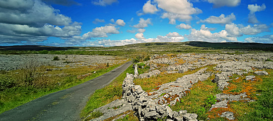 Irland grün grün grüner