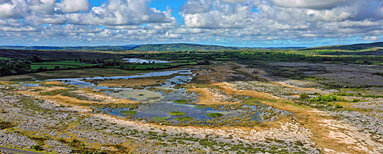 Irland grün grün grüner