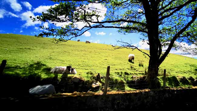 Motorradland Irland (Seen, Klippen, Meer und Castle)