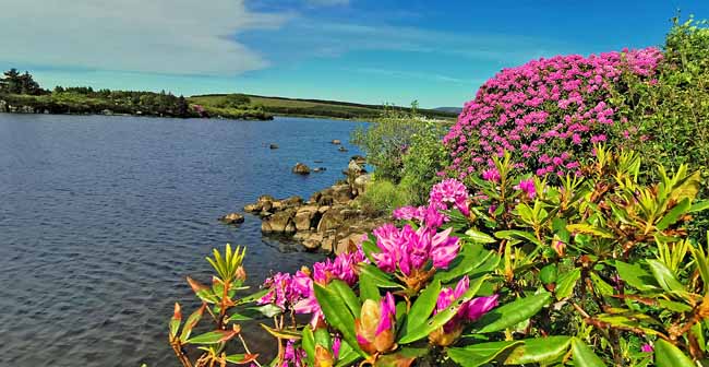 Motorradland Irland (tolle Motorradstrecken)