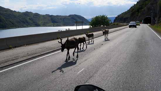 Das letzte Stück unserer Motorradtour zum Nordkap