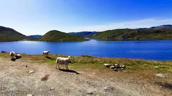 Motorradtour zum Nordkap