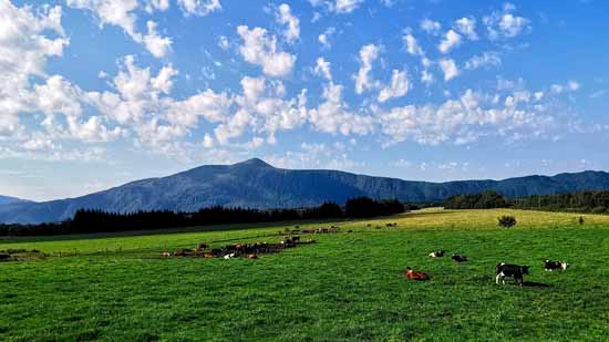 tolle Brücken und einsame Strassen Richtung Nordkap