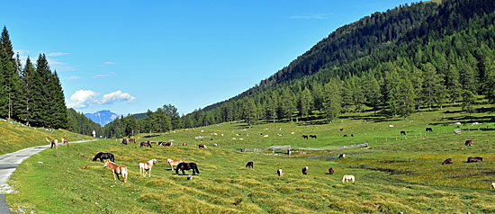 Allrad strecken Österreich