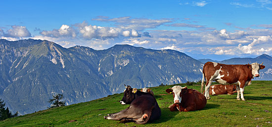 Allrad strecken Österreich