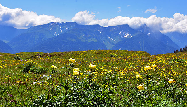 Allrad strecken Österreich