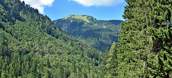 Offroad Kärnten