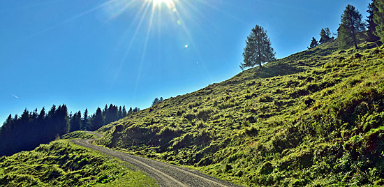 ALMSTRECKEN KÄRNTEN