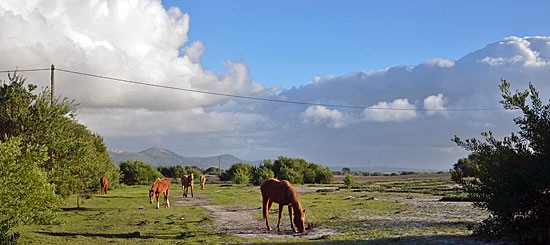 routen Portugal