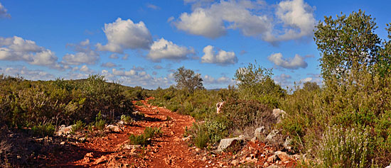 Offroad Algarve