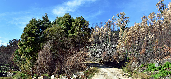 Portugal Endurotracks