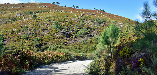Portugal Allrad Routen