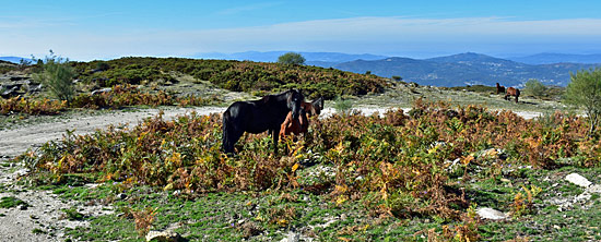 Portugal Adventure Schotterwege