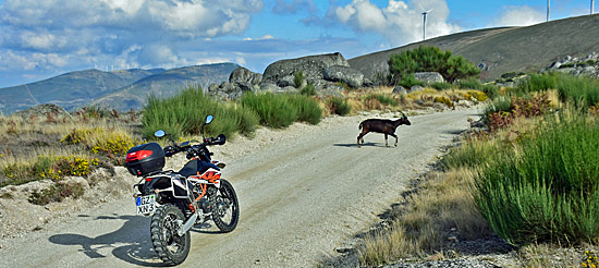 Portugal Geländewagen Offroadtracks