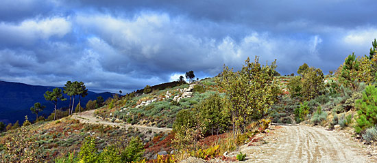 Portugal Jeep Safari