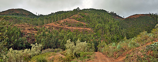 Enduro Algarve