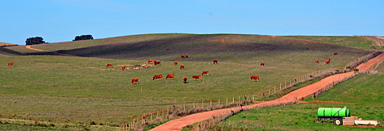 SUV Tour Portugal