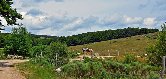 Cevennen Offroad