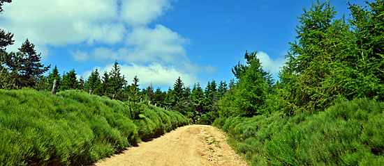 Cevennen Endurostrecken