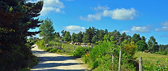 Cevennen Endurostrecken