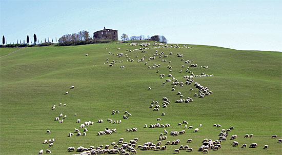 Toskana Schotterpisten