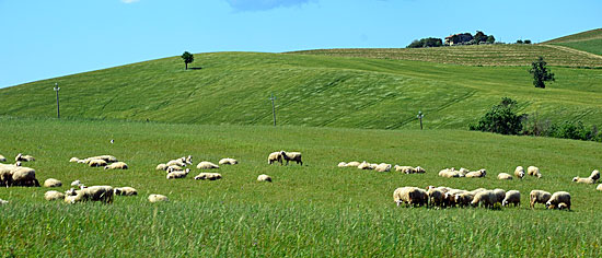 Toskana Orrroadstrecken