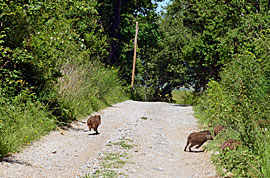 Toskana Schotterpisten