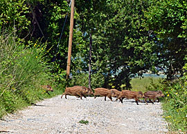 Toskana Schotterpisten