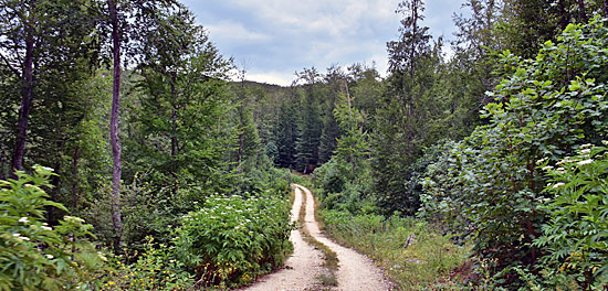 Kroatien Pisten und Schotter