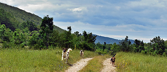 Kroatien Pisten und Schotter