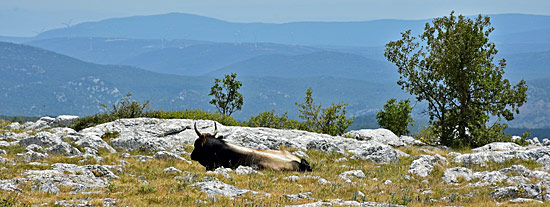 Tolle Landschaft in Kroatien