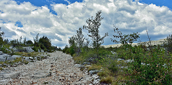 Tolle Landschaft in Kroatien