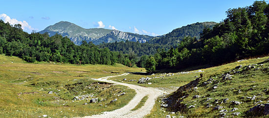 Montenegro SUV Touren