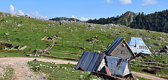 Montenegro SUV Touren