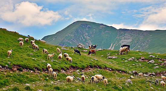 Montenegro Endurostrecken