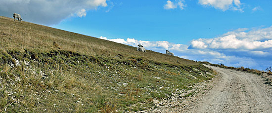 Bergstrecken in Umbrien für Allrad Truck