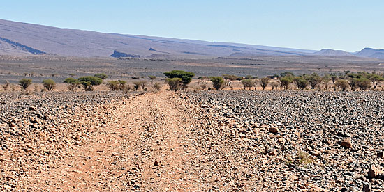 Wüstenpiste Marokko