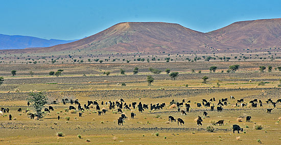 Berge und Steine Marokko