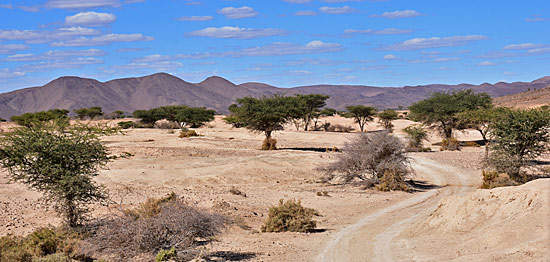 Steppenlandschaft Marokko