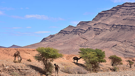 Flusspiste durch Canyon Marokko