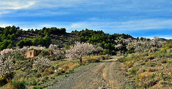 Truck offroad spanien