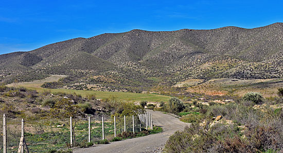 Truck offroad spanien