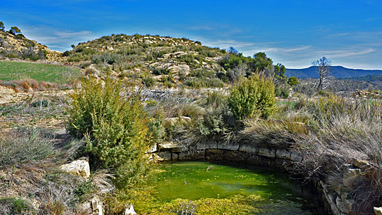 Bardenas Wüste Spanien 4x4