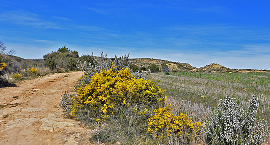 Bardenas Wüste Spanien 4x4