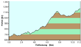 p11hoehe.gif
