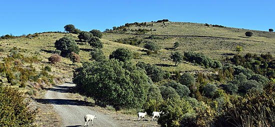 Panoramapisten Pyrenäen